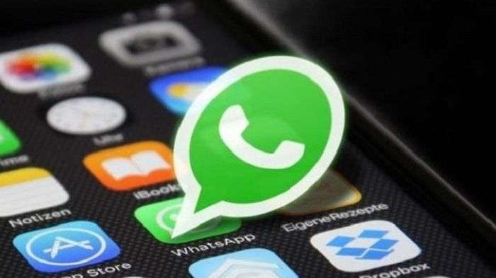 Cara Aktifkan Fitur'Mute' Selamanya untuk Notifikasi Grup WhatsApp, Segera Update Versi Terbarunya